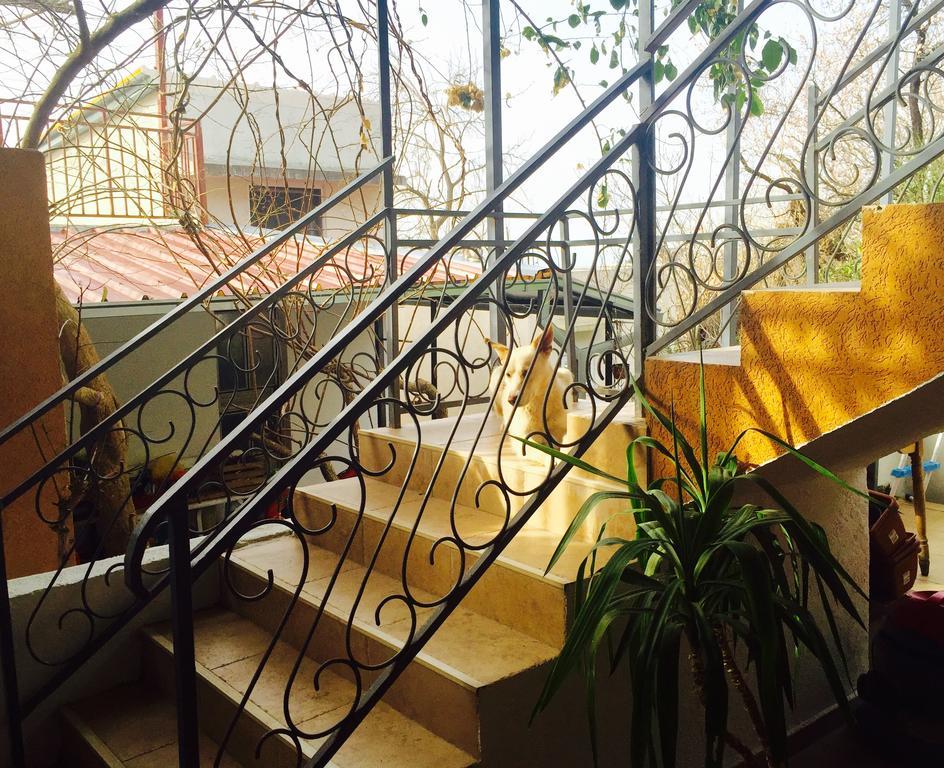 Apartmani Peric Bar Exterior foto